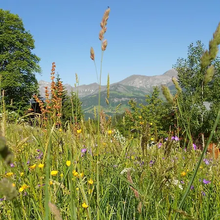 Chalet In Notre-dame Near Lift *